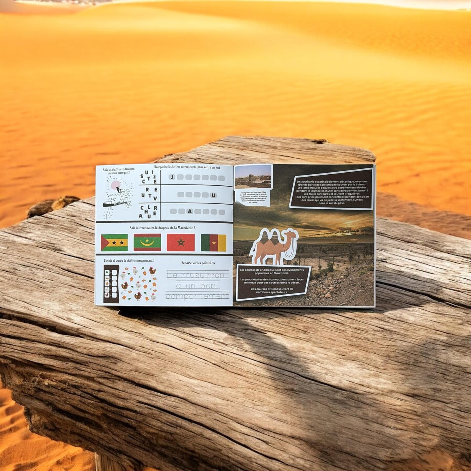 Recette traditionnelle Mauritanie